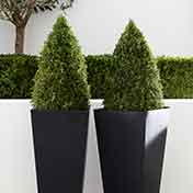 Planters & Plant Pots